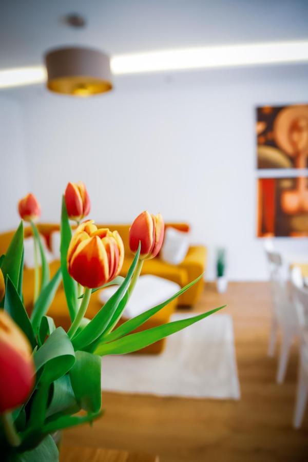 Cozy Apartment In The Downtown Γκιόρ Εξωτερικό φωτογραφία